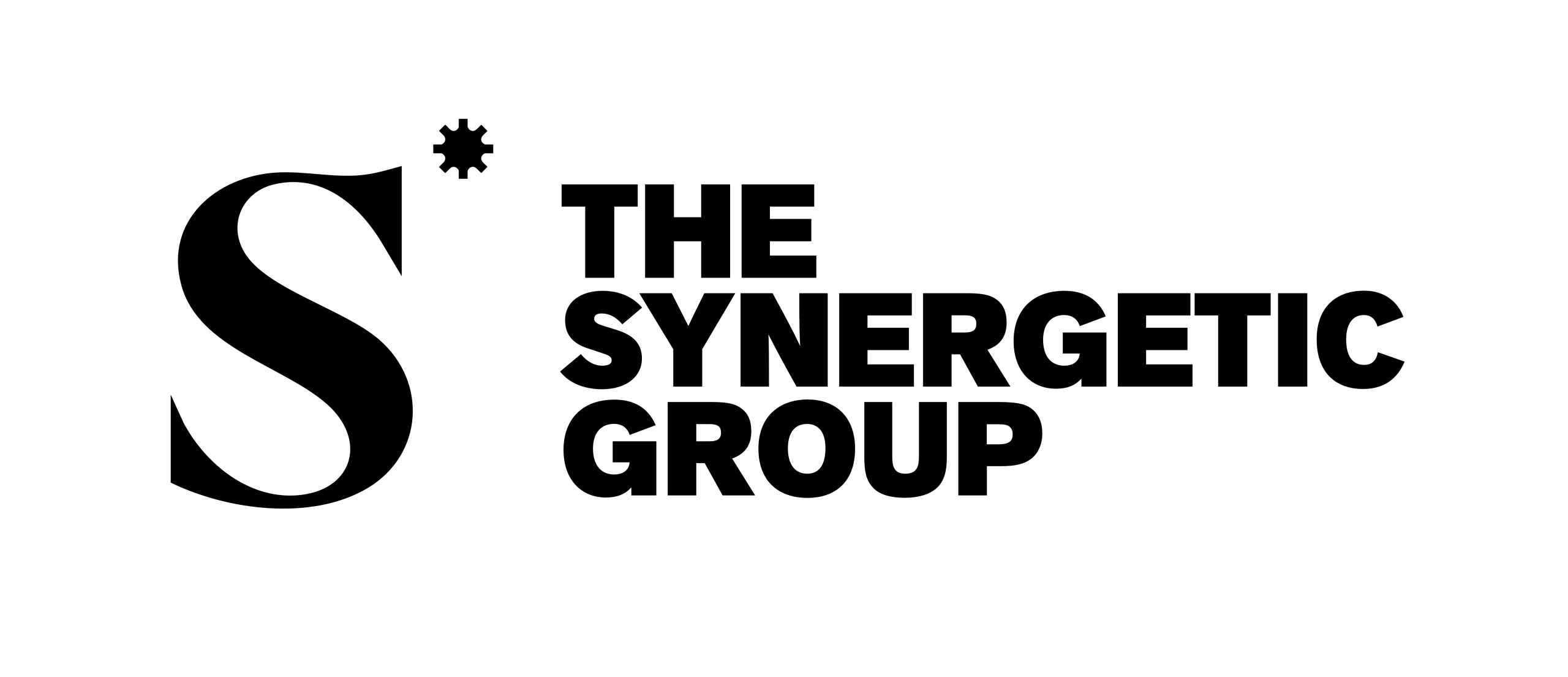 Logo The Synergetic Group